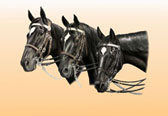 Three Mountie Horses 2